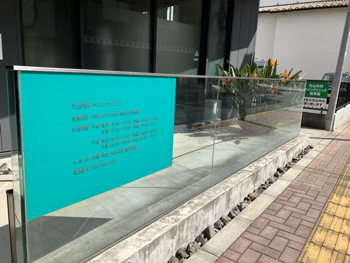 ストレチアナの花がよく咲いています。